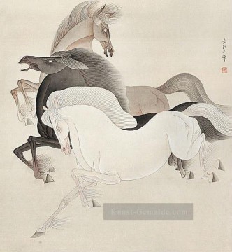 Feng cj Chinesisch Pferde